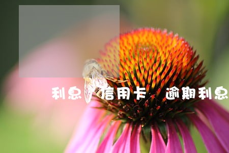利息 信用卡 逾期利息 利息 信用卡 逾期利息